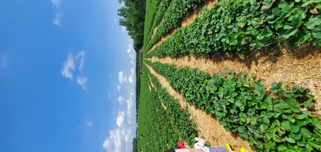 20210620_103545.jpg