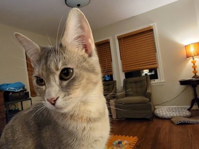 20210913_204710.jpg