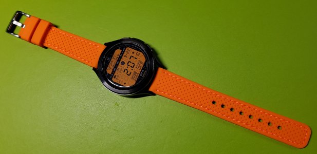 ap01.jpg