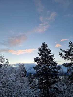 20211223_102619.jpg