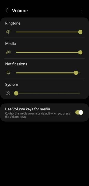 Screenshot_20211223-210233_Settings.jpg