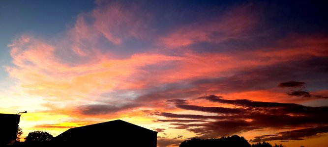 20210926_185954.jpg
