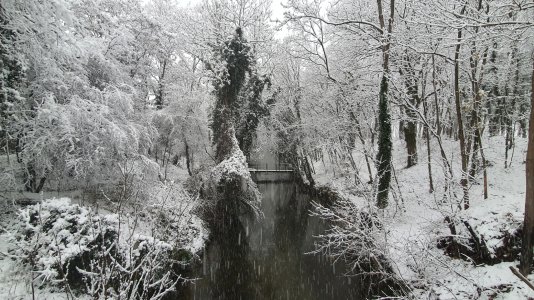 20211209_082206.jpg