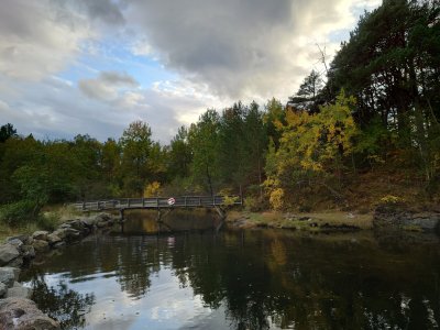 20210927_172632.jpg