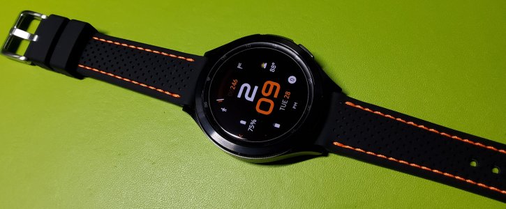 ap05.jpg