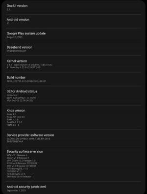 software info - Copy.jpg