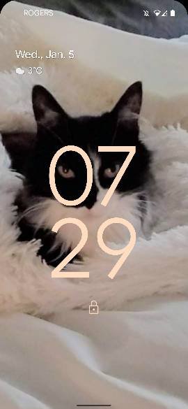 5719.jpg