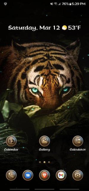 Screenshot_20220312-172918_One UI Home.jpg