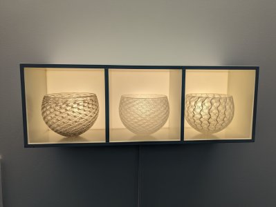 PXL_20220311_222346601.jpg