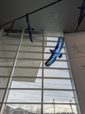 PXL_20220311_222902330.jpg