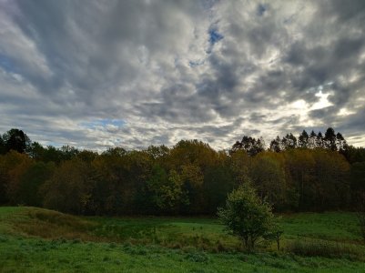 20211006_110505.jpg