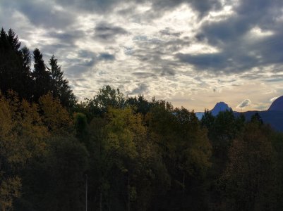 20211006_110209.jpg