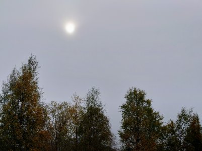 20211003_121752.jpg