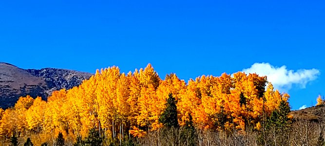 20211007_144402.jpg