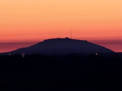 20220314_072918.jpg