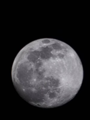 20220316_210937.jpg