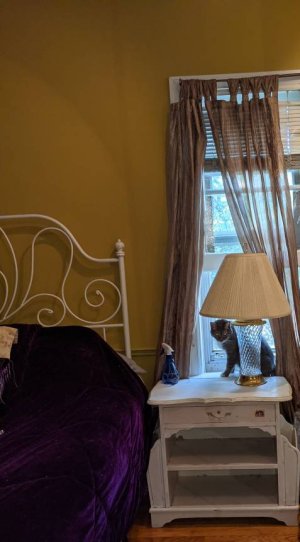 PXL_20211013_175824616.jpg