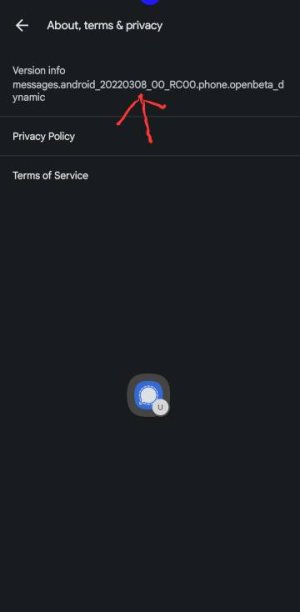 Screenshot_20220317-172739_Messages.jpg