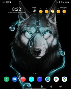 Screenshot_20211014-202208_One UI Home.jpg