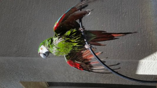 20170616_152951.jpg