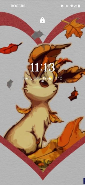 Screenshot_20211017-111303.jpg