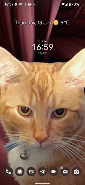Screenshot_20220113-165944.jpg