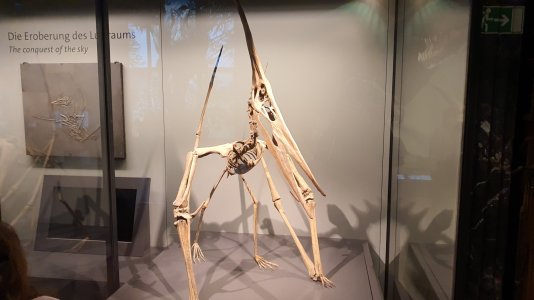 20220320_154115.jpg