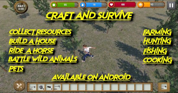 craftandsurvive2.jpg