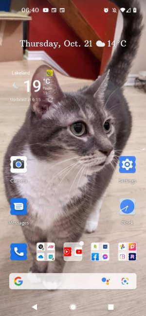 Screenshot_20211021-064018.jpg