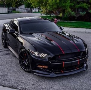 stang.JPG