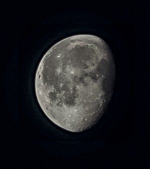 Moom-Mar22.jpg