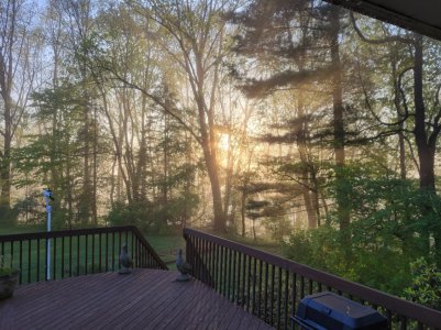 Backyard.jpg