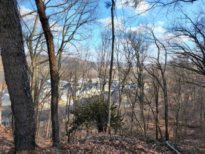 20220310_153954[1].jpg