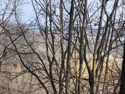 20220310_154007[1].jpg