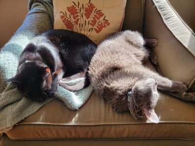 20220122_133546.jpg