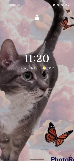 Screenshot_20211024-112054.jpg