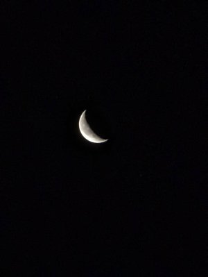 PXL_20220127_114227012.jpg