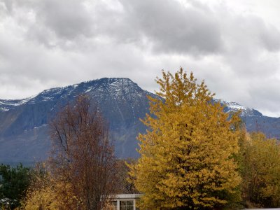 20211028_134619.jpg