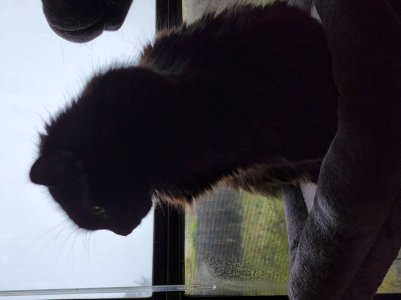 20220329_084846.jpg
