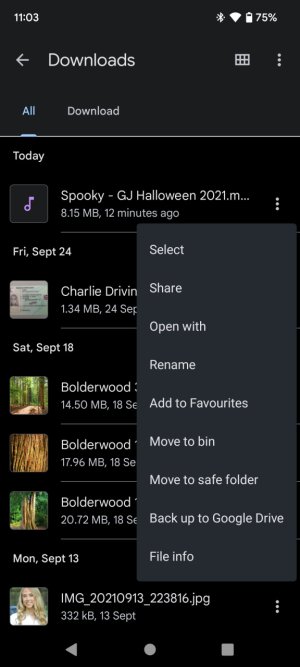 Screenshot_20211031-110354.jpg