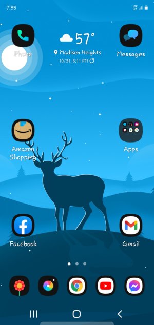 Screenshot_20211031-195559_One UI Home.jpg