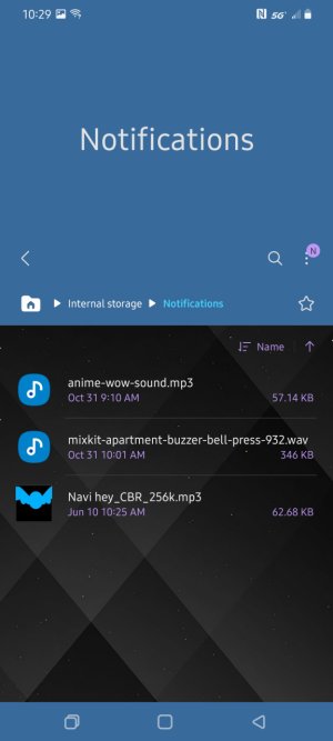 Screenshot_20211031-222900_My Files.jpg