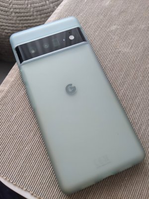 PXL_20220406_041958279.jpg