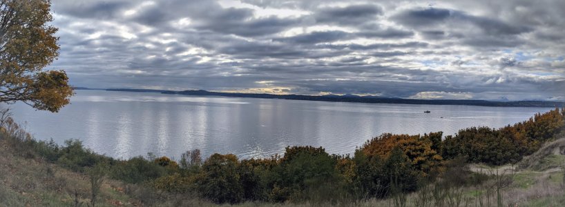 PXL_20211018_225505154-PANO.jpg