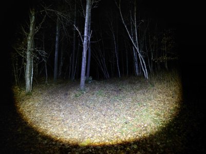 20211102_181937.jpg