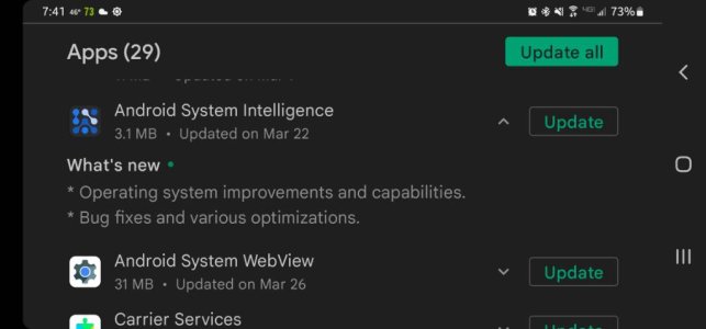 Screenshot_20220406-194137_Google Play Store.jpg