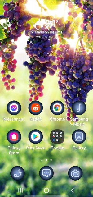 Screenshot_20220208-063622_One UI Home.jpg