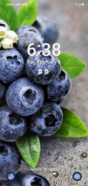 Screenshot_20220208-063821_One UI Home.jpg