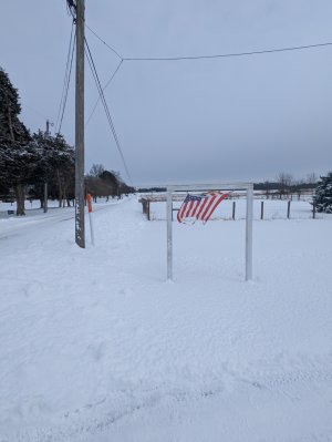 PXL_20220204_193257288.jpg