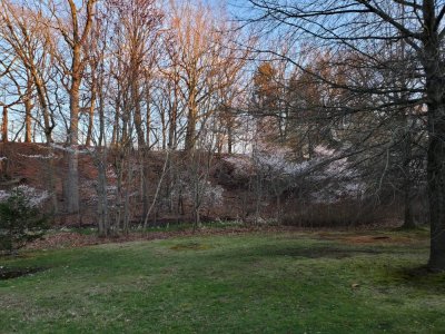 20220408_190320.jpg